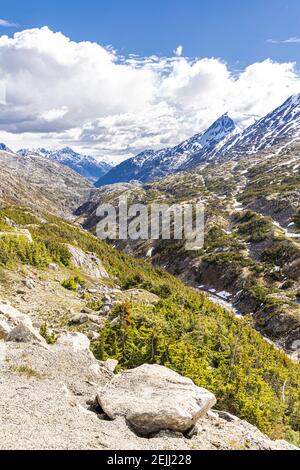 Ein Blick Anfang Juni auf die Kanada/USA Grenze neben dem Klondike Highway nordöstlich von Skagway, Alaska, USA Stockfoto