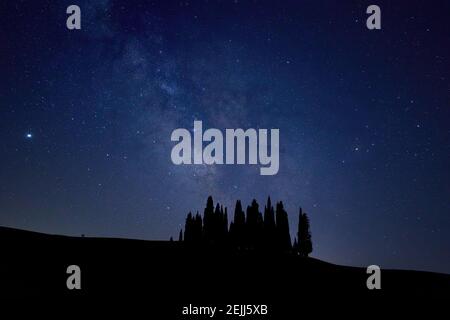 Nacht in der Toskana. Blick auf eine Milchstraße über eine Gruppe von Zypressen, die in einer hügeligen Landschaft einer typischen toskanischen Landschaft stehen. Italien Stockfoto
