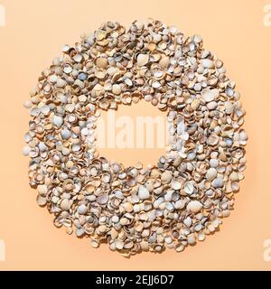 Muschelschalen als Kranz mit Kopierraum auf beigem Hintergrund. Blick von oben. Stockfoto