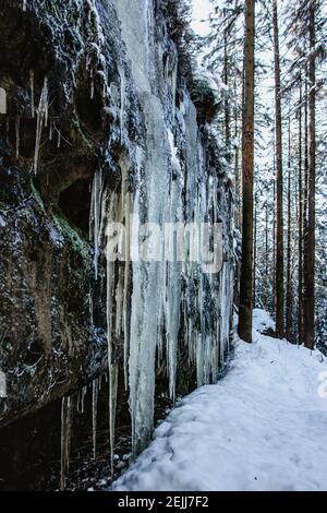 Faszinierende Eisformationen und Eiszapfen genannt Brtnicke Eisfälle, CZ ledopady, im Nationalpark Böhmische Schweiz, Tschechische republik.Winterausflug Stockfoto