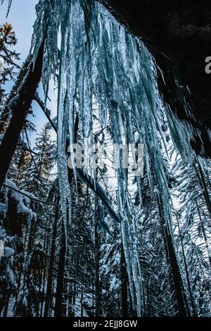 Faszinierende Eisformationen und Eiszapfen genannt Brtnicke Eisfälle, CZ ledopady, im Nationalpark Böhmische Schweiz, Tschechische republik.Winterausflug Stockfoto