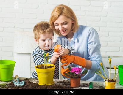 Familienpflanzen. Mutter und Sohn wachsen Blumen. Kind und Mutter sprühen Frühlingsblume. Stockfoto