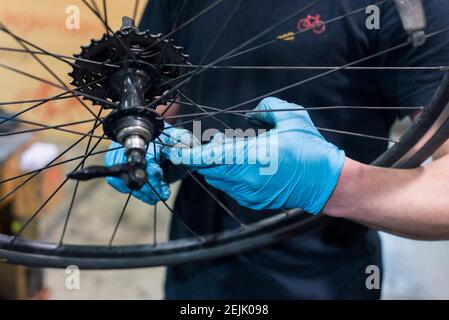 Nahaufnahme der Hände eines Fahrradmechanikers, der die hintere Kassette eines Fahrrads mit Spezialwerkzeugen bedient Stockfoto