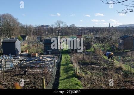 Gartenanlagen im Stadtzentrum mit Blick auf das Edinburgh Castle Und Frau beim Graben Stockfoto