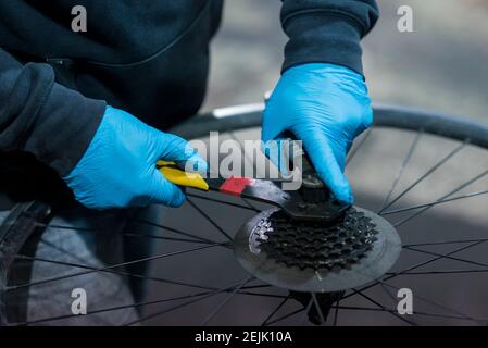 Nahaufnahme der Hände eines Fahrradmechanikers, der die hintere Kassette eines Fahrrads mit Spezialwerkzeugen bedient Stockfoto