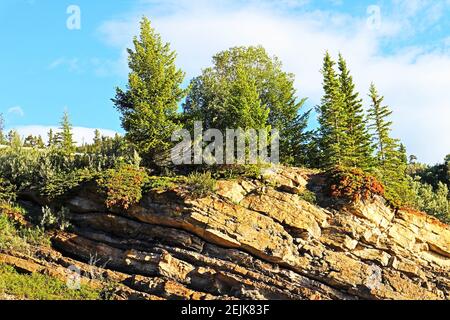 Alberta Mountain Exploration! Wunderschöne Bäche und Flüsse mit satten Farben, Schatten, Licht und Texturen. Natur vom Feinsten! In Der Nähe Von Nordegg. Stockfoto