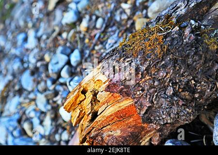 Alberta Mountain Exploration! Wunderschöne Bäche und Flüsse mit satten Farben, Schatten, Licht und Texturen. Natur vom Feinsten! In Der Nähe Von Nordegg. Stockfoto