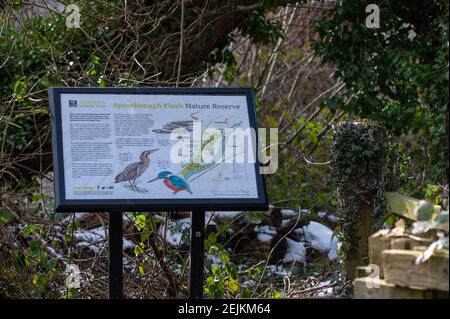 Informationsforum für Sprombrough Flash Nature Reserve, South Yorkshire, Großbritannien Stockfoto