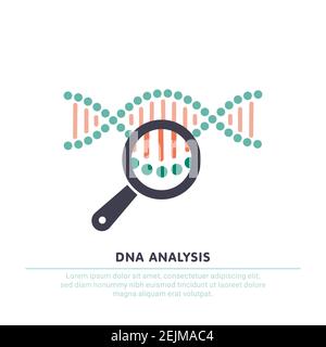 DNA-Analyse-Symbol, genetische Tests. dna-Kette in Lupe Zeichen. Gentechnik, Klonen, Vaterschaftstest. vektor-Illustration Stock Vektor