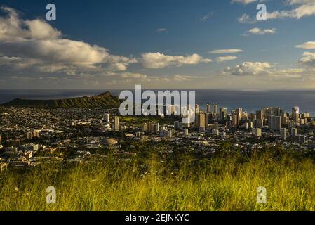 Spektakuläre Waikiki Skyline, Hochhäuser und Meer, Blick vom Aussichtspunkt auf Mount Tantalus im Puu Ualakaa State Park, Oahu, Honolulu, Hawaii, USA Stockfoto