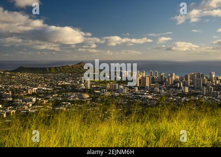 Spektakuläre Waikiki Skyline, Hochhäuser und Meer, Blick vom Aussichtspunkt auf Mount Tantalus im Puu Ualakaa State Park, Oahu, Honolulu, Hawaii, USA Stockfoto