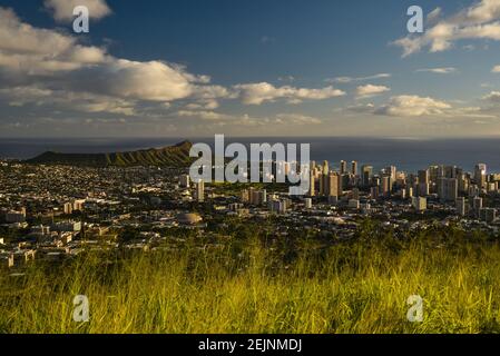 Spektakuläre Waikiki Skyline, Hochhäuser und Meer, Blick vom Aussichtspunkt auf Mount Tantalus im Puu Ualakaa State Park, Oahu, Honolulu, Hawaii, USA Stockfoto