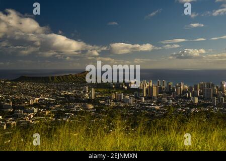 Spektakuläre Waikiki Skyline, Hochhäuser und Meer, Blick vom Aussichtspunkt auf Mount Tantalus im Puu Ualakaa State Park, Oahu, Honolulu, Hawaii, USA Stockfoto