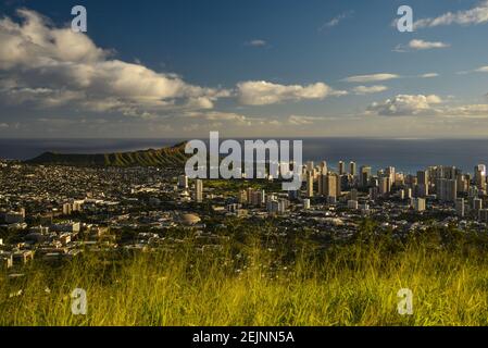 Spektakuläre Waikiki Skyline, Hochhäuser und Meer, Blick vom Aussichtspunkt auf Mount Tantalus im Puu Ualakaa State Park, Oahu, Honolulu, Hawaii, USA Stockfoto