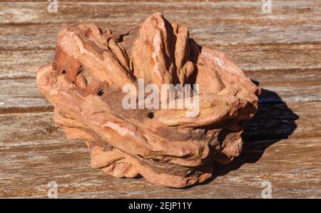 Nahaufnahme von Rosenfelsen (Barite Bergkristall - Oklahoma State Rock) auf Holz sitzend Stockfoto