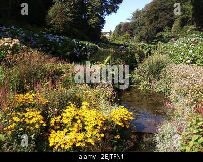 Blumenmassen säumen einen Bach, der zu einem See führt Stockfoto