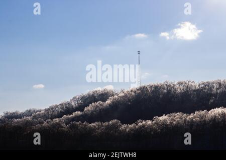 Sonnenlicht trifft gefrorene Bäume. Stockfoto