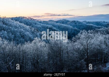 Sonnenlicht trifft gefrorene Bäume. Stockfoto