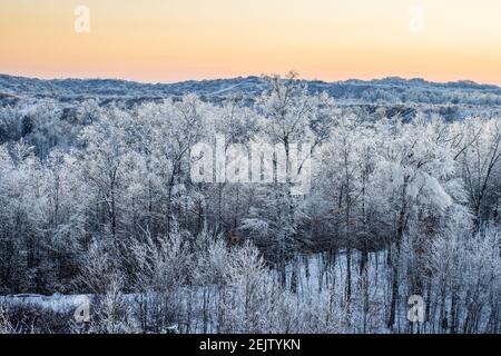 Sonnenlicht trifft gefrorene Bäume. Stockfoto