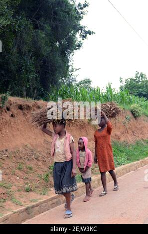 Alltag im ländlichen Ruanda. Stockfoto