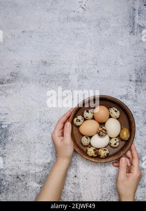 Die Hände halten einen Tonteller, in dem es frisch ist Hühner- und Wachteleier Stockfoto