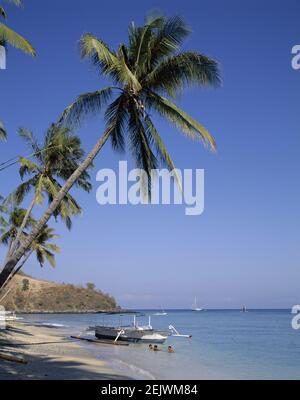 Asien, Indonesien, Lombok Island, Outrigger Kanus auf dem exotischen tropischen palmengesäumten Senggigi Beach, Stockfoto