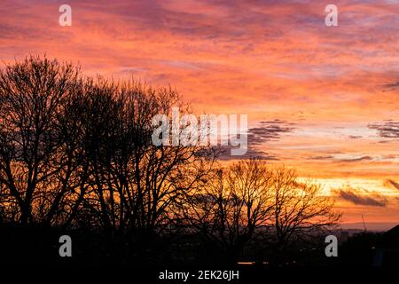 WIMBLEDON LONDON, GROSSBRITANNIEN 23. FEBRUAR 2021. Treescape Silhouetten gegen einen Feuersund bei Sonnenaufgang in Wimbledon. Die Prognose ist für warme mildere Temperatur in Südostengland in den nächsten Tagen . Credit amer ghazzal/Alamy Live News Stockfoto