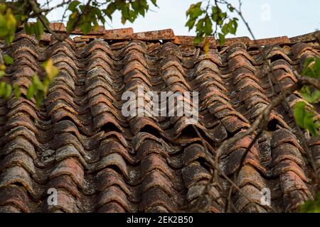Blick von vorne, ein verlassenes Dorf auf der Krim. Stockfoto