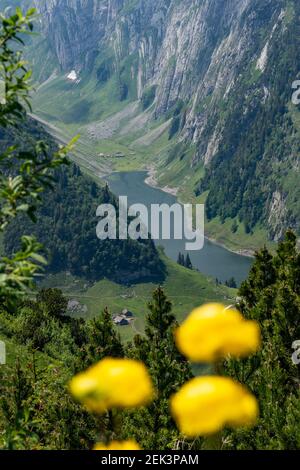 Überblick über den alpinen Fälensee in Appenzell, Alpsteingebirge in der Schweiz Stockfoto