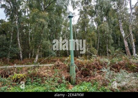 Holme Fen, wo zwei Beiträge aufzeichnen die Schrumpfung der Landoberfläche durch Entwässerung Stockfoto