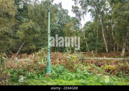 Holme Fen, wo zwei Beiträge aufzeichnen die Schrumpfung der Landoberfläche durch Entwässerung Stockfoto