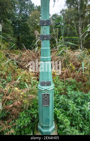 Holme Fen, wo zwei Beiträge aufzeichnen die Schrumpfung der Landoberfläche durch Entwässerung Stockfoto