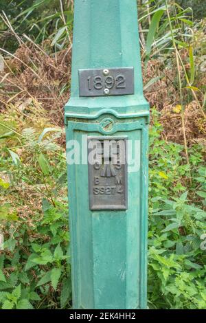 Holme Fen, wo zwei Beiträge aufzeichnen die Schrumpfung der Landoberfläche durch Entwässerung Stockfoto