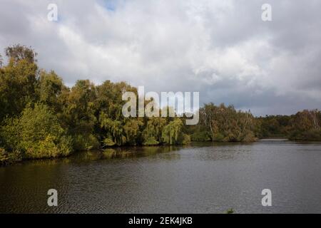 Holme Fen, wo zwei Beiträge aufzeichnen die Schrumpfung der Landoberfläche durch Entwässerung Stockfoto