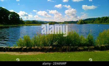 Carlingwark Loch, Castle Dougas (Gälisch: Caistal Dhùghlais) ,Dumfries & Galloway, Schottland -- das loch liegt am Rande der Stadt, zu Fuß leicht erreichbar und mit einem Park bis an seinen Rand. In der Nähe des loch gibt es auch einen Caravanpark, prähistorische, bronzezeitliche und römische Werkzeuge und andere Artefakte wurden im loch und auf seinen Inseln gefunden, sowie Überreste von Spuren prähistorischer Schädel (Ufer-/Wasserhäuser). Castle Douglas (Scotland's Food Town) wurde 1792 von William Douglas gegründet. Die Castle Douglas and Dumfries Railway kam 1859 in die Stadt (geschlossen 1965). Stockfoto