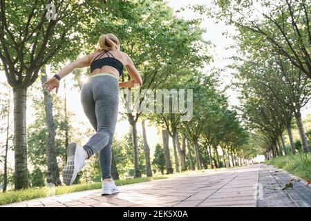 Fahren Sie weiter. Rückansicht einer sportlichen Frau in Sportkleidung, die beim Training im grünen Park an sonnigen Tagen zu laufen beginnt Stockfoto