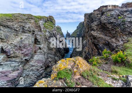 Küstenweg um Trevone Cornwall england großbritannien Stockfoto