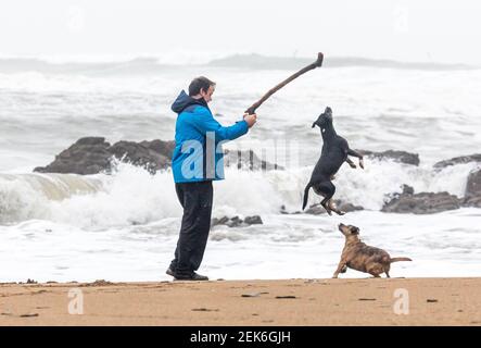 Myrtleville, Cork, Irland. 23rd. Februar 2021. An einem stürmischen Morgen spielt Don Canny mit seinen beiden Terrier Cassie und Cooper zusammen einen stürmischen Morgen am Myrtleville Beach, Co. Cork, Irland. - Kredit; Daavid Creedon / Alamy Live News Stockfoto