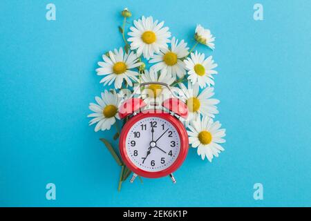 Roter Wecker und Bouquet von weißen Kamillen in der Mitte des blauen Hintergrunds Stockfoto