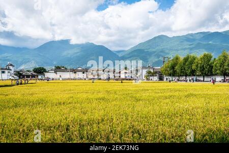 Dali China , 6. Oktober 2020 : Xizhou Altstadt mit Bai Minderheit Häuser und gelben Reisfeld und Cangshan Berge im Hintergrund in Xizhou Dali Yunna Stockfoto