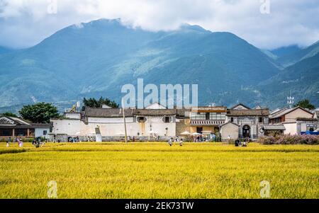 Dali China , 6. Oktober 2020 : Xizhou Altstadt mit Bai Minderheit Häuser und gelben Reisfeld und Cangshan Berge im Hintergrund in Xizhou Dali Yunna Stockfoto