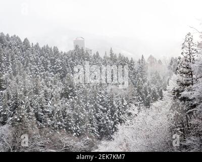 Nebel und Wolken steigen aus einem weißen, schneebedeckten Wald an einem Berghang in der Nähe von Shiga Kogen in Yamanouchi, Präfektur Nagano, Japan. Stockfoto