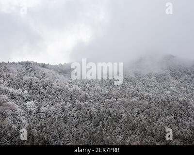 Nebel und Wolken steigen aus einem weißen, schneebedeckten Wald an einem Berghang in der Nähe von Shiga Kogen in Yamanouchi, Präfektur Nagano, Japan. Stockfoto