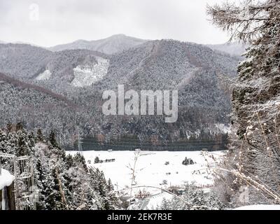 Blick über ein Tal in den Bergwäldern bei Shiga Kogen in Yamanouchi, Präfektur Nagano, Japan. Stockfoto