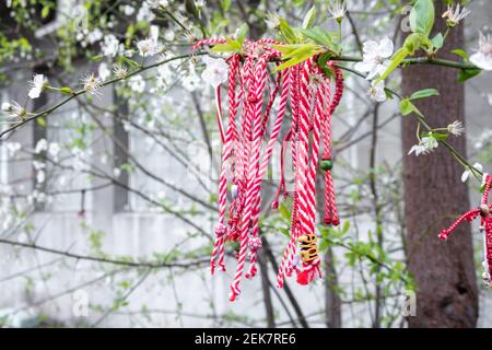 Rot-weiße Martenitsa oder Martison Armbänder, die an den Zweigen des blühenden Baumes hängen - bulgarische und rumänische Frühlingstradition Stockfoto