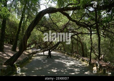 Parque de La Salette Park in Oliveira de Azemeis, Portugal Stockfoto