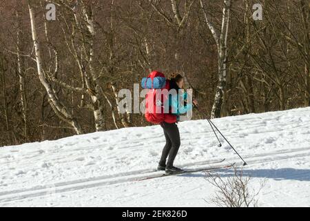 Eine Frau wandert mit Rucksack auf einer Schneeliste, eine Skilanglauf-Skilanglauf, eine Frau Skifahren Stockfoto