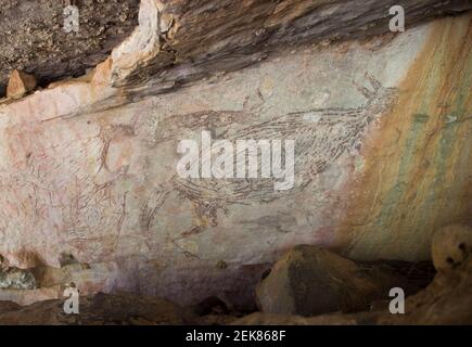 (210223) -- SYDNEY, Feb. 23, 2021 (Xinhua) -- das am 15. Juli 2016 aufgenommene Aktenfoto zeigt ein Gemälde eines Känguruhs in der Kimberley Region, Australien. Ein zwei Meter langes Gemälde eines Kängurus in der Kimberley-Region Westaustraliens gilt seit 17.300 Jahren als Australiens ältestes intaktes Felsbild.naturalistische Tierdarstellungen sind ein gängiges Thema der ältesten datierten Felskunst der Welt. In einem Artikel, der am Dienstag in Nature Human Behaviour veröffentlicht wurde, Ein Forscherteam unter der Leitung der Universität Melbourne verwendete das Radiokarbon aus 27 Schlammwespennestern von 16 ähnlichen Gemälden in Kimber Stockfoto