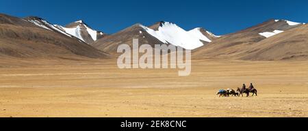 Kleine Karawane, die im Rupshu-Tal in der Nähe des Tso Moriri-Sees, der großen himalaya-Bergkette, Ladakh, Jammu und Kaschmir, Indien, ins Flugzeug fliegt Stockfoto