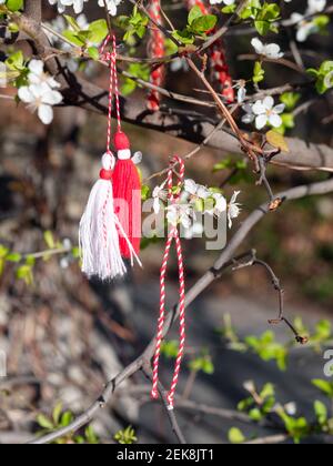 Rot-weiße Martenitsa oder Martison Armbänder, die an den Zweigen des blühenden Baumes hängen - bulgarische und rumänische Frühlingstradition Stockfoto